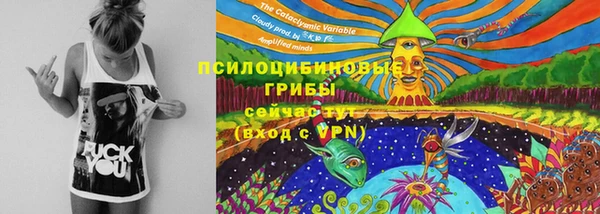 винт Алексин