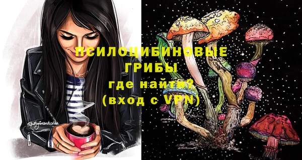 дурь Алзамай