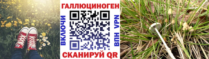 Галлюциногенные грибы мицелий Учалы